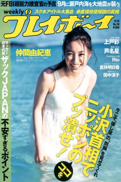 永夜君王小说